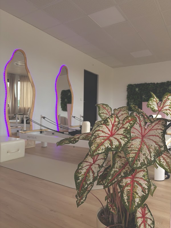 Reform & Shine Studio — photo 2