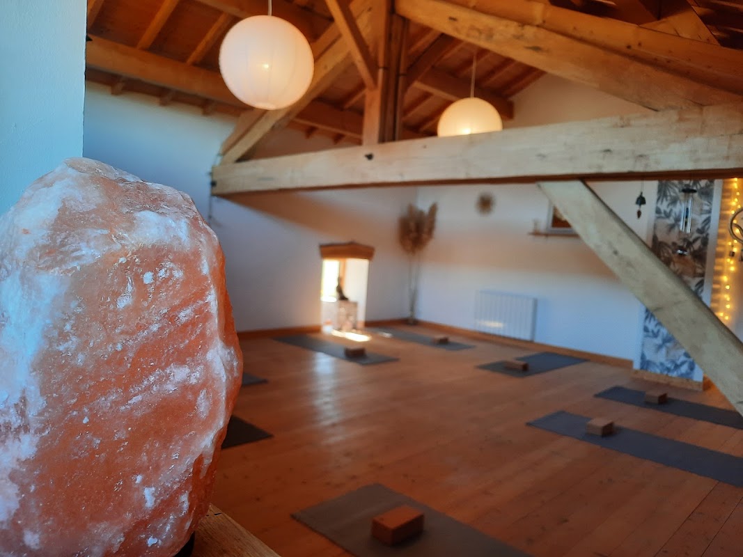 Studio Body N' Soul — photo 2