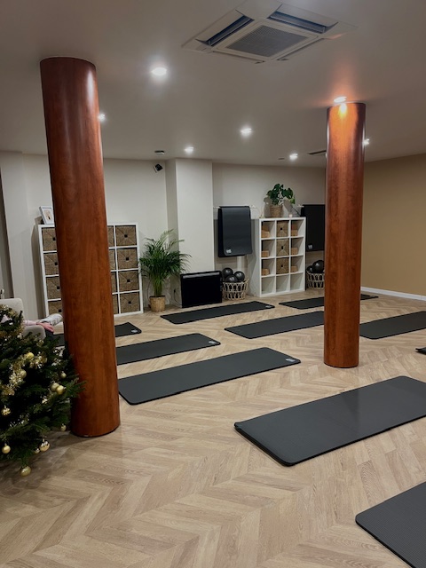 Equilibre Brie - Pilates Reformer — photo 2