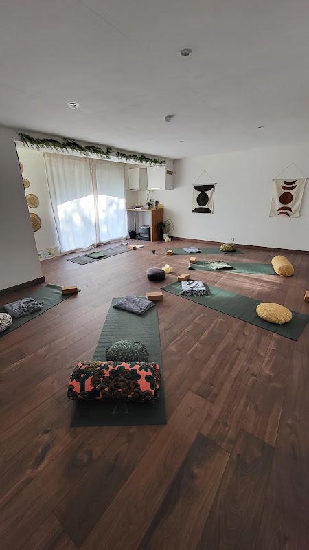 Le Studio Dyp — photo 3
