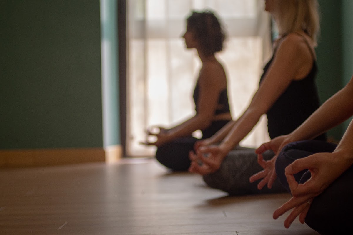 Dharma Studio Foix — photo 3