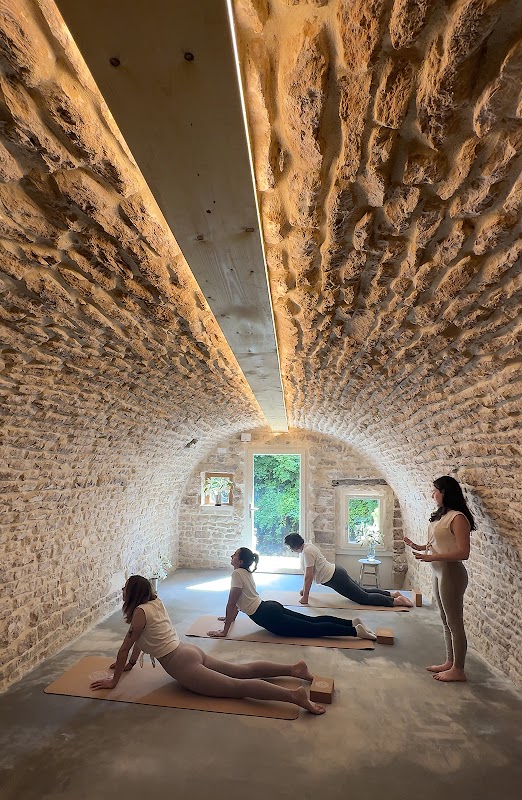 Yogociety — photo 2
