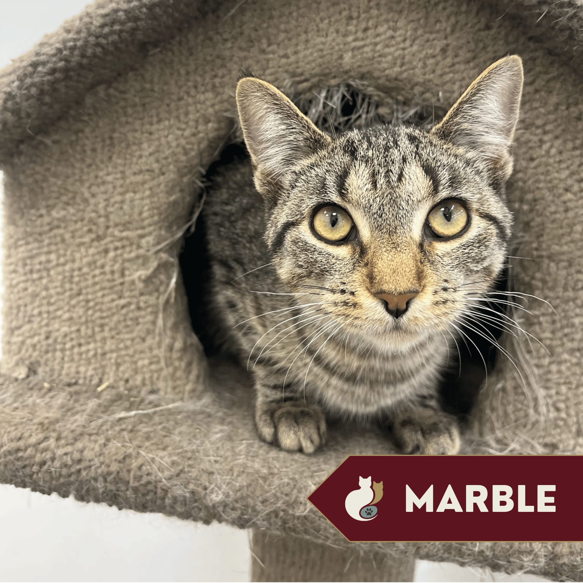 Marble