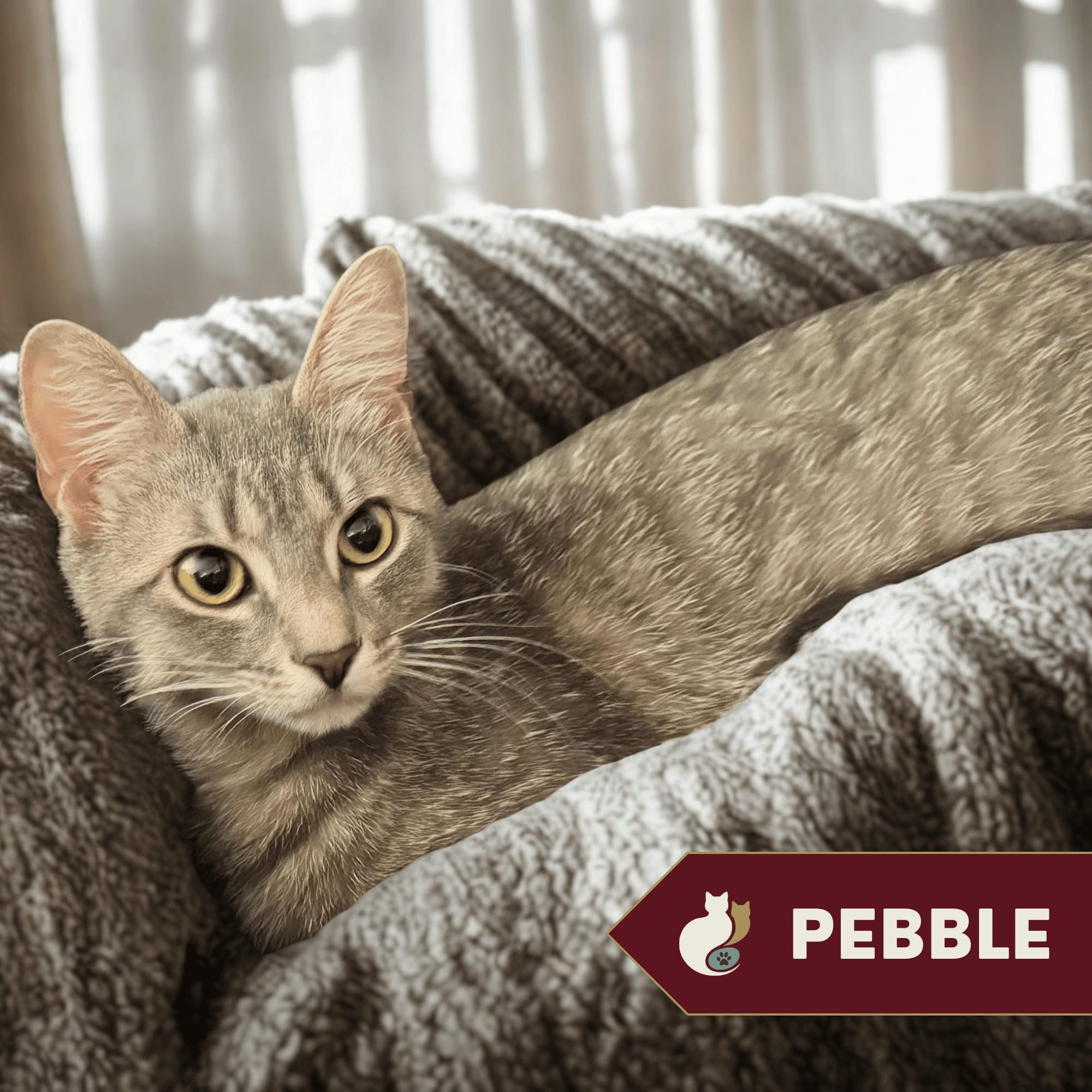 Pebble