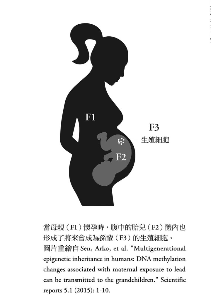 創傷的代間傳遞：童年環境對後代影響揭密