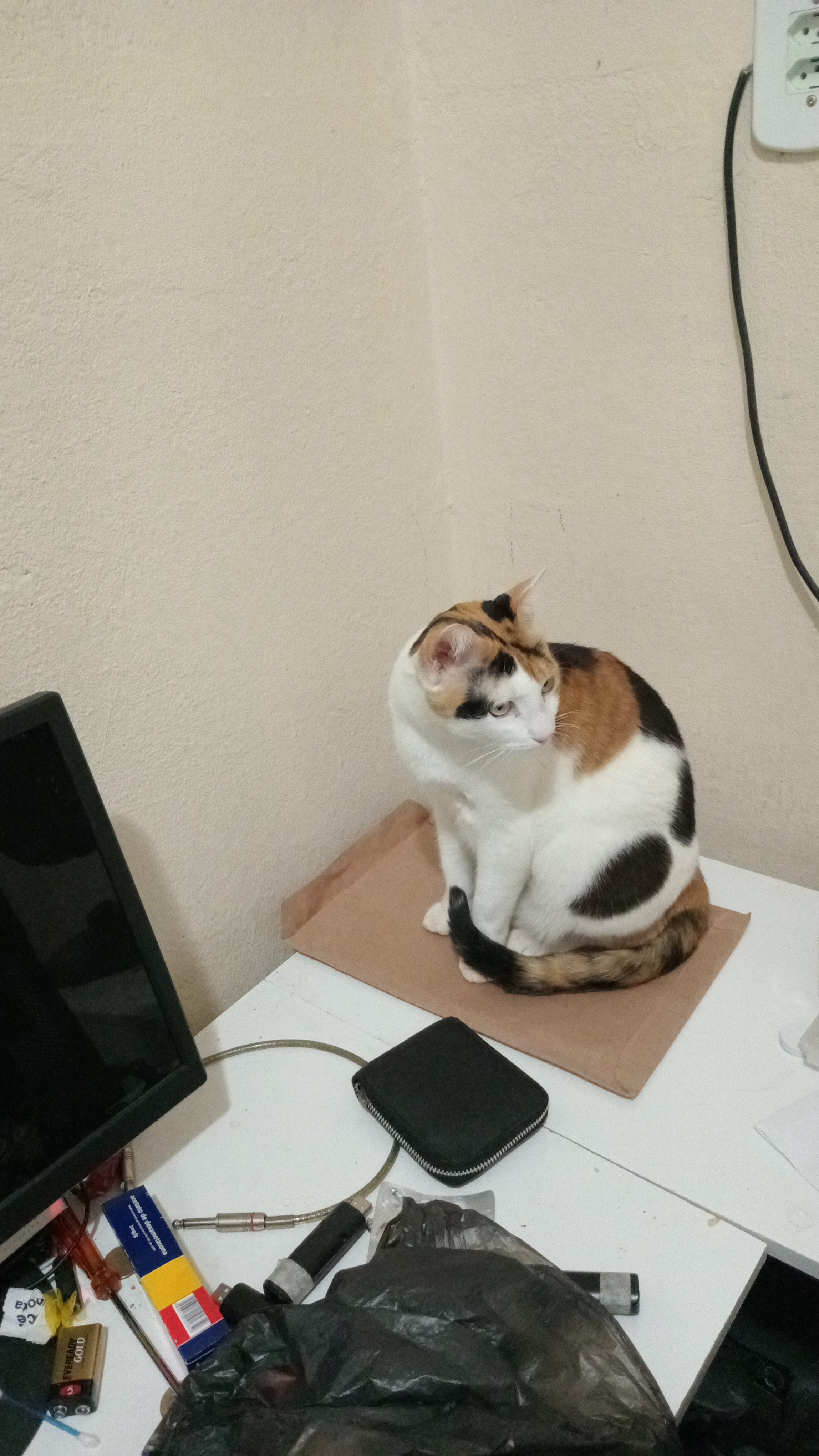 Esperando alguém ter a bondade de me trazer ração fresquinha...