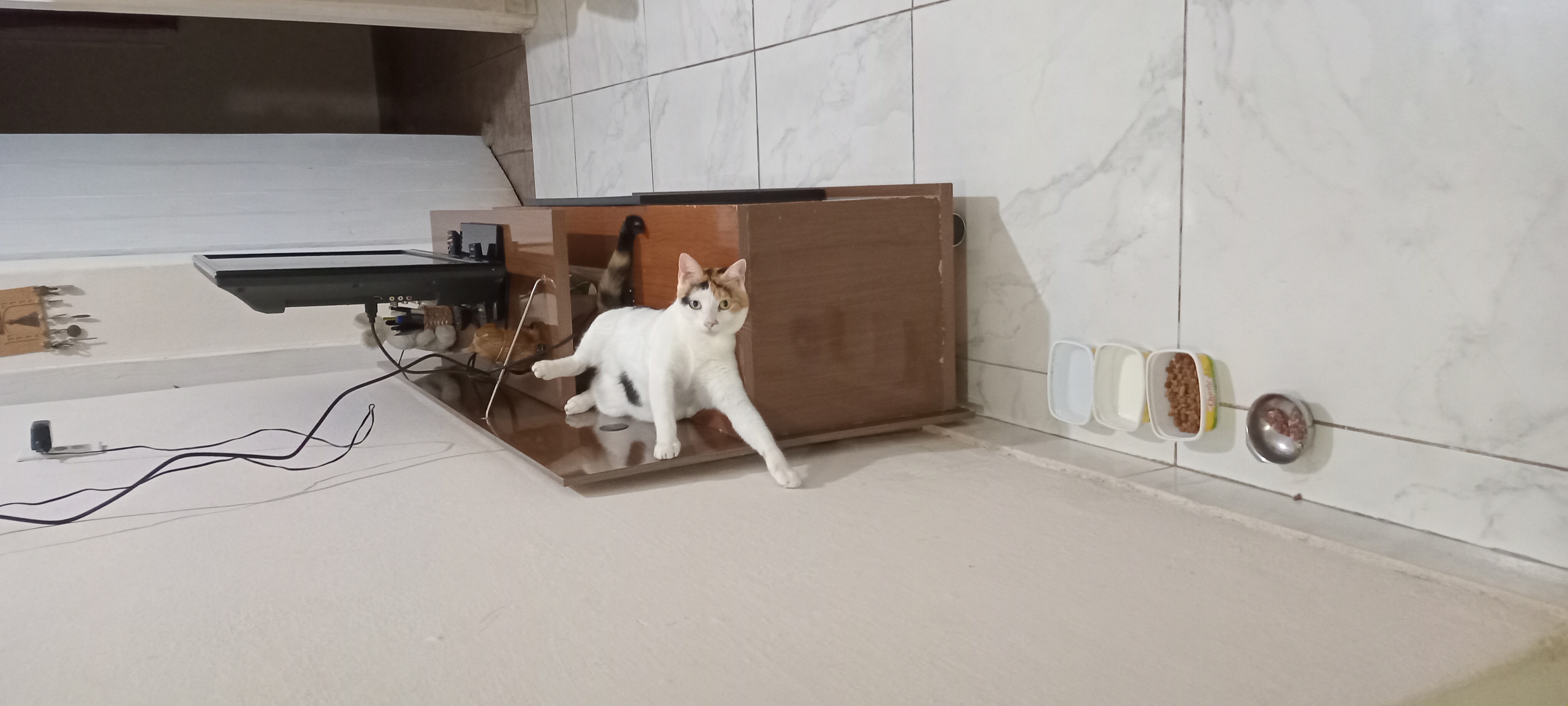 Espelho, espelho meu, tem gata mais folgada do que eu?
