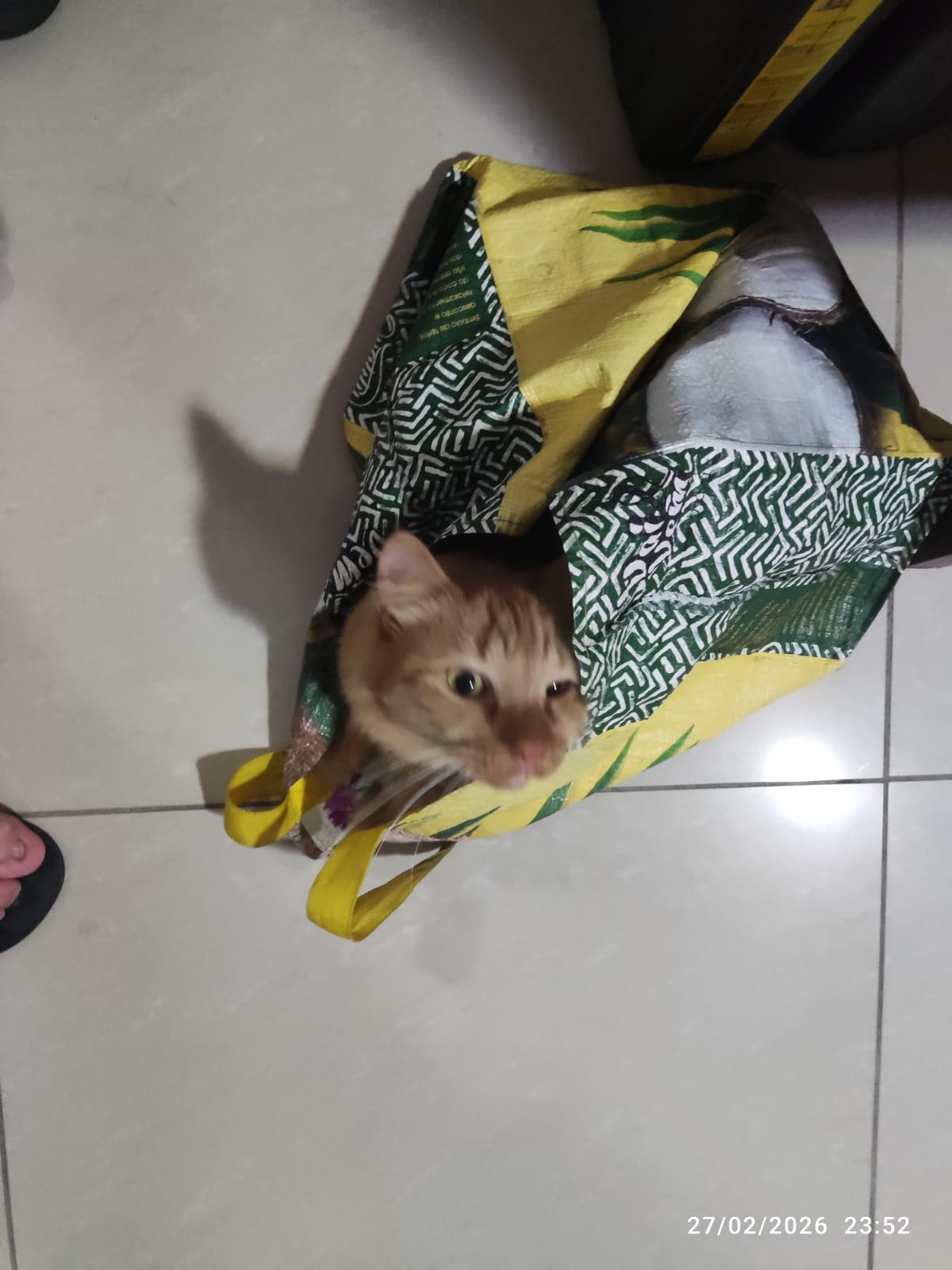 Escondido para assustar