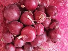 Top Red Onion Exporting Countries