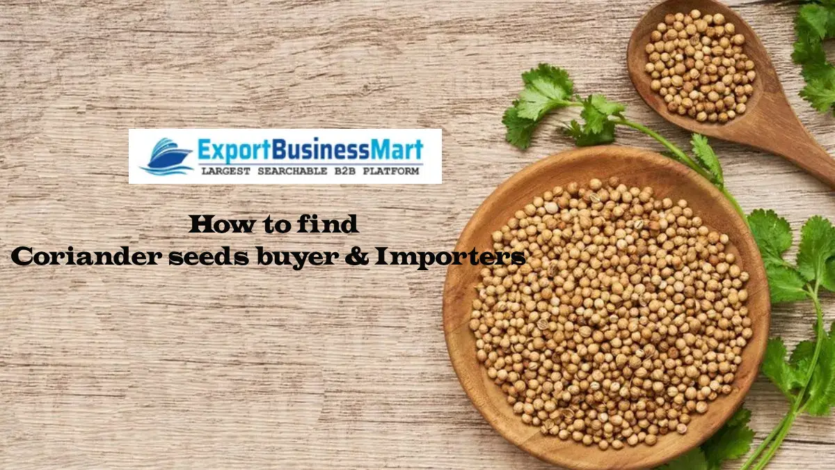 Find Coriander Seeds Buyers & Importers- Step Guide