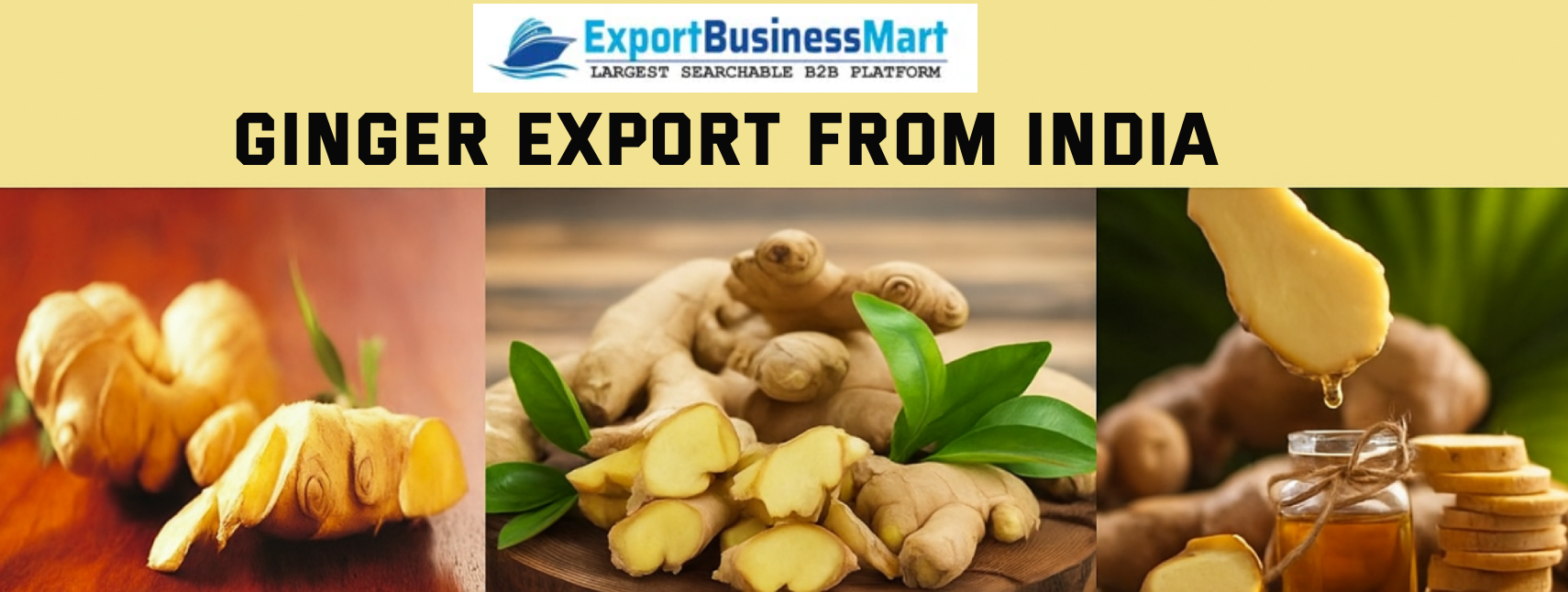 Ginger Export from India: Complete Guide for Exporters