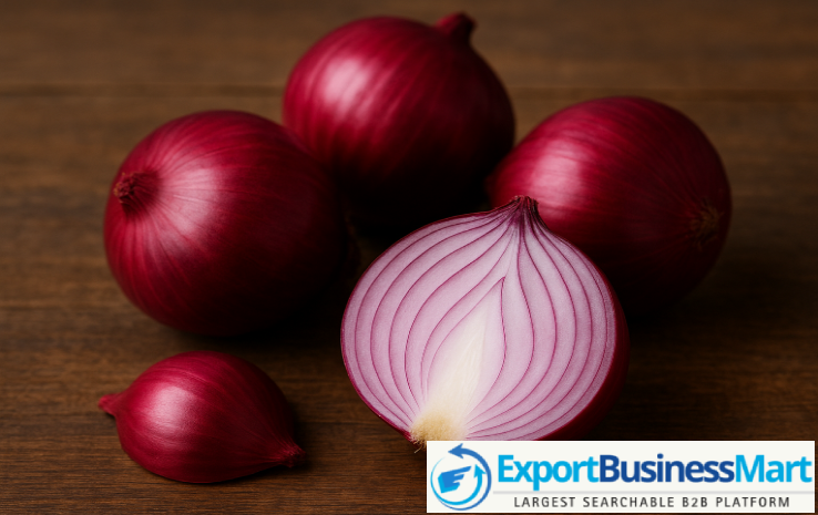 Top 5 Onion Exporters in India