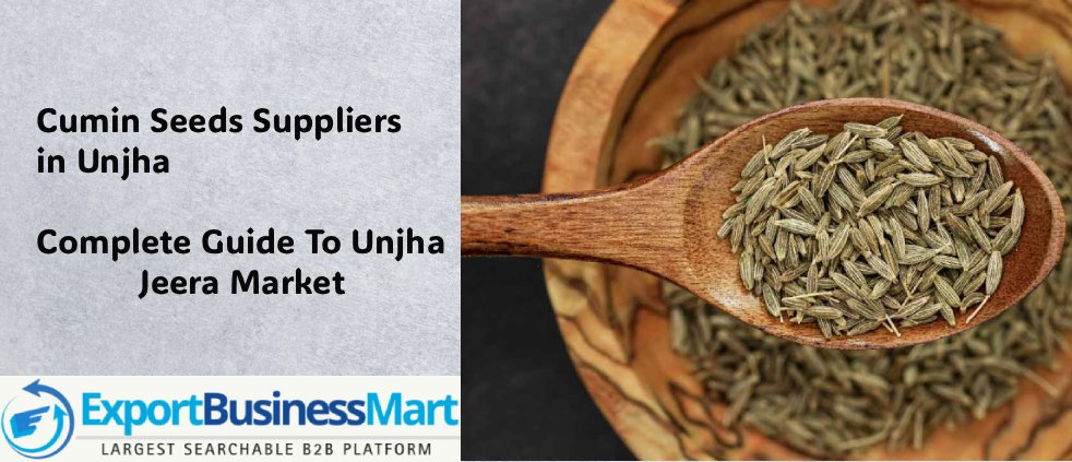 Best Cumin Seed Suppliers in Unjha- Guide to Unjha Jeera Market 2025
