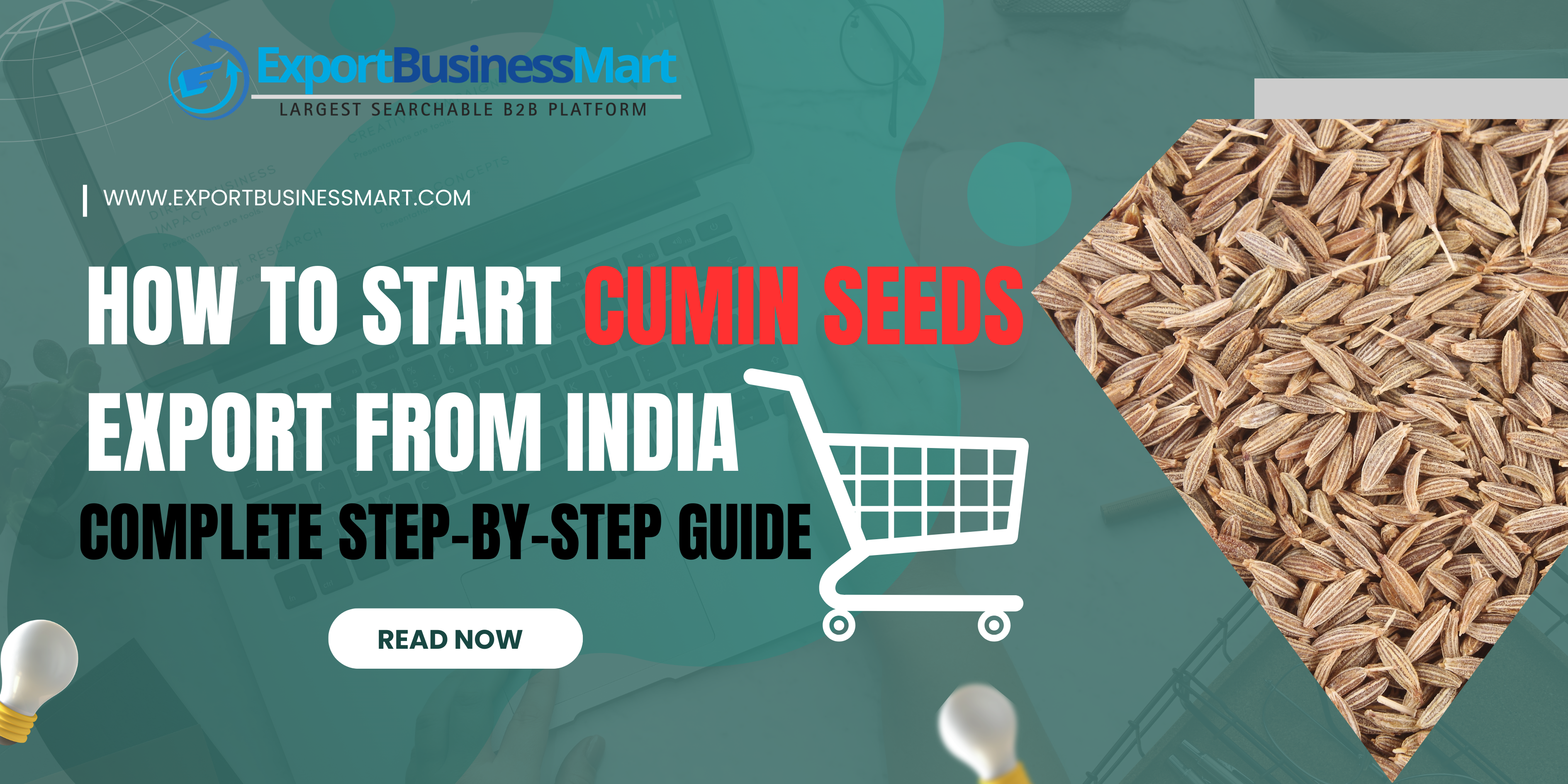 How to Start Cumin Seeds Export from India – Complete Step-by-Step Guide
