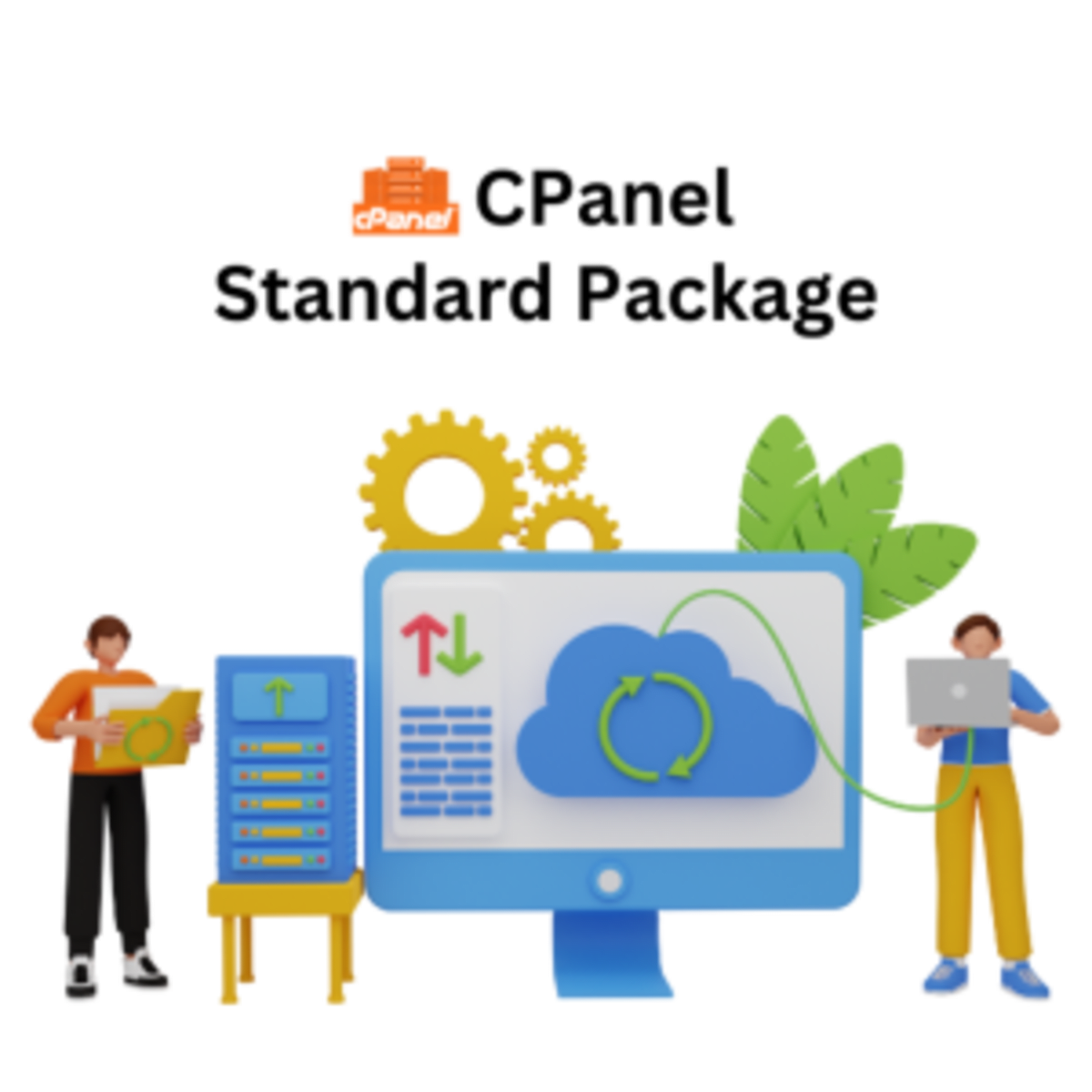 Product: CPanel Hosting (Standard)