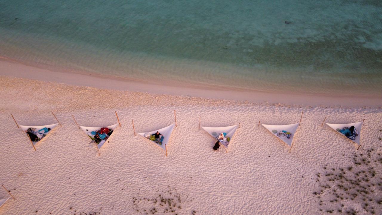 Overnight Picnic Trip