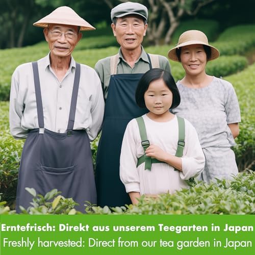 Vue 4 de Goodwei The Vert Sencha
