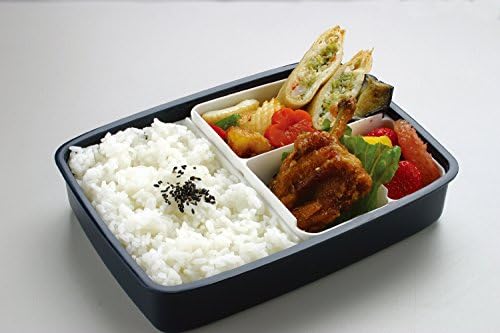 Vue 4 de Skater Boite Bento