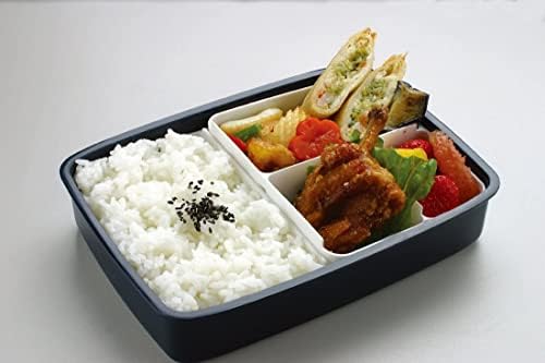 Vue 6 de Skater Boite Bento