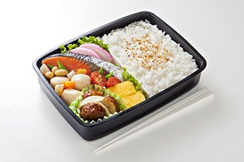 Vue 7 de Skater Boite Bento