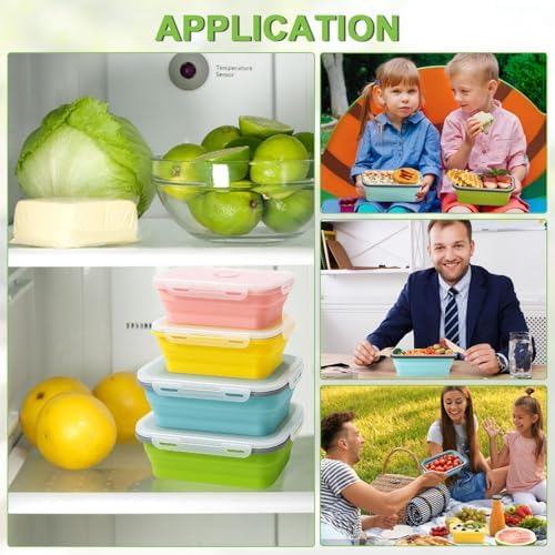 Vue 6 de Druuzyl Boites Bento Pliables