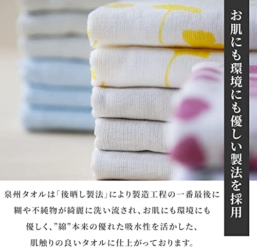 Vue 3 de Noren Serviette Visage Senshu