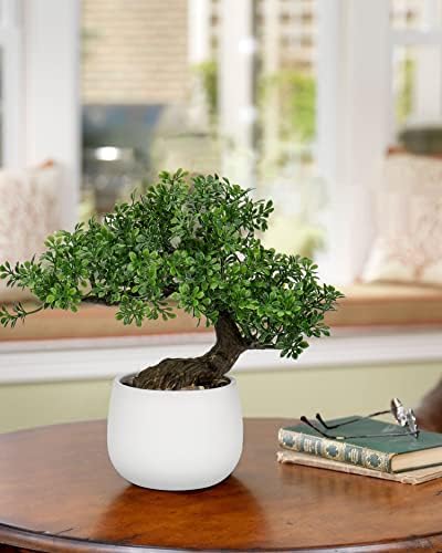 Vue 6 de Oairse Bonsai Artificiel Dans