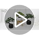 Vue 7 de Oairse Bonsai Artificiel Dans