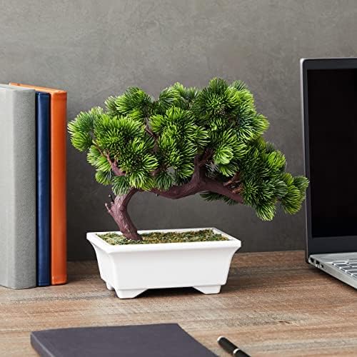 Vue 2 de Arbre Bonsai Artificiel Faux