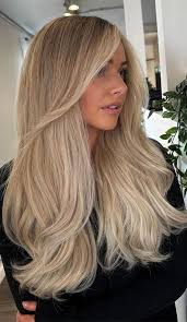 Hair extenion