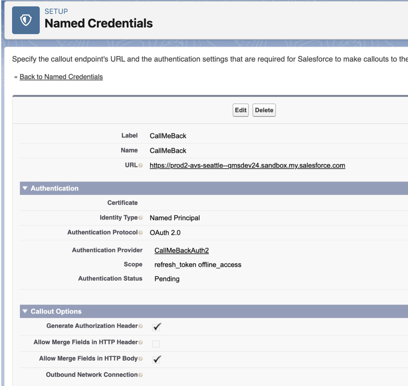 A named credential configured with OAuth 2.0 and an auth provider