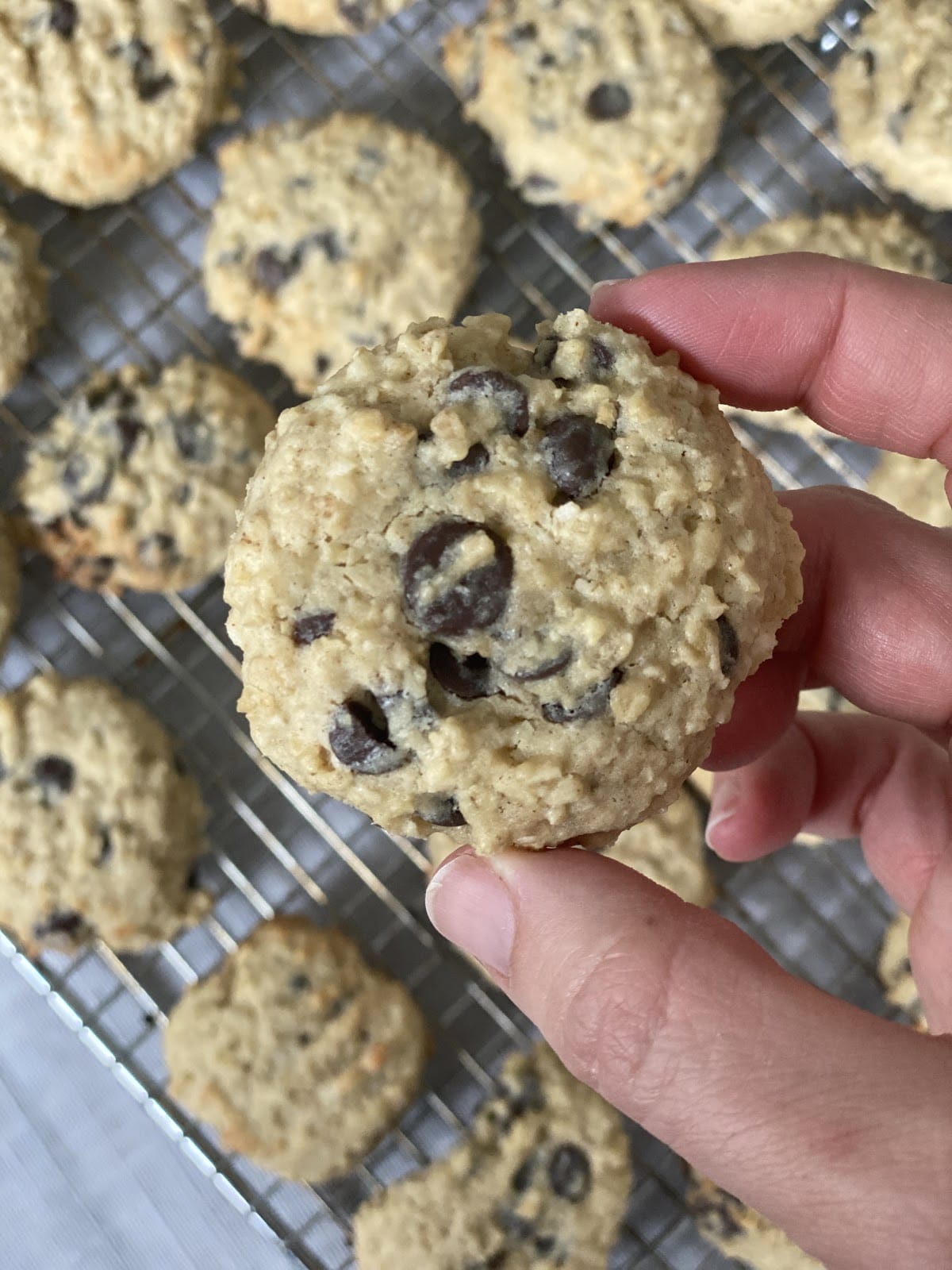 Oatmeal Chocolate Chip Cookie