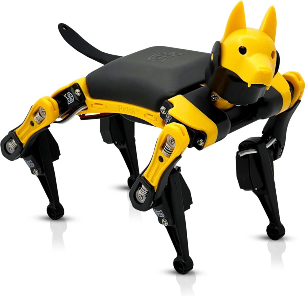 Petoi Bittle X V2 AI Robot Dog – Programmable Smart Coding Robot Kit