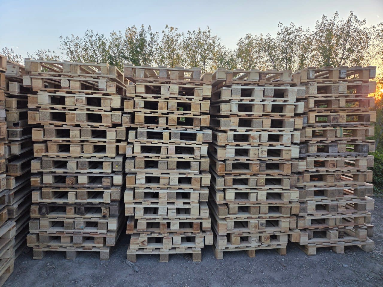 On-site pallet grading and condition assessment — how does it work?