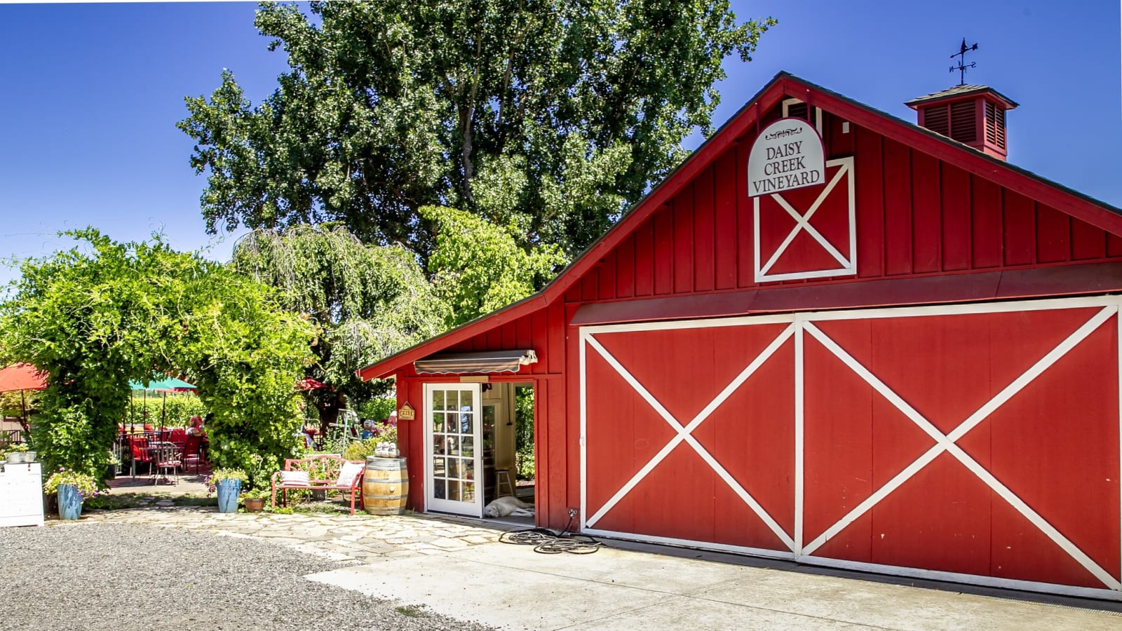 Red barn-style building with white X barn doors and "Daisy Creek Vineyard" sign, one of the Rogue Valley vineyards that grows Malbec for Resistance Wine Co.