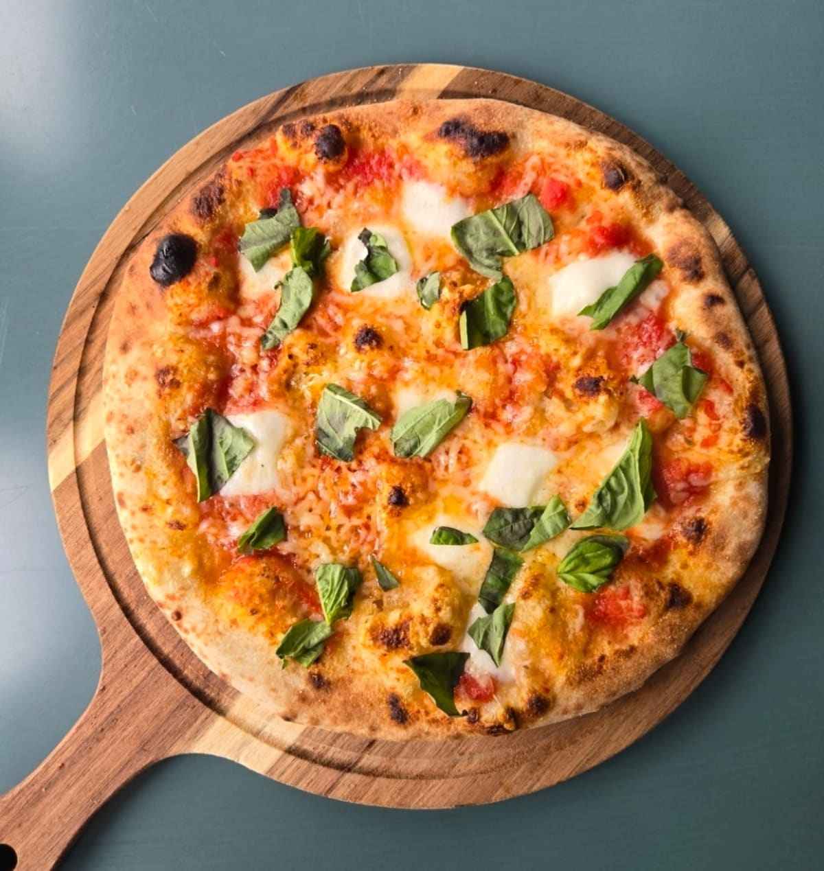Allium wood-fired Margherita pizza with fresh basil