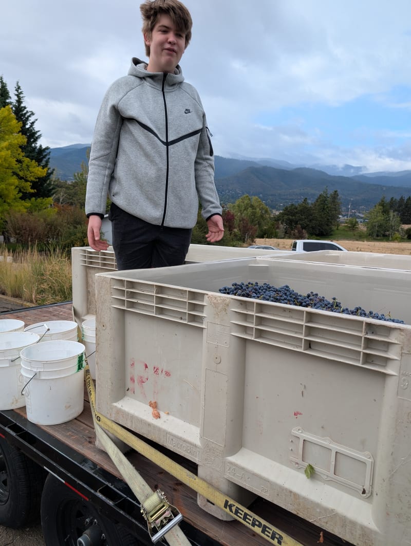 Harvest 2026, photo 5 of 8