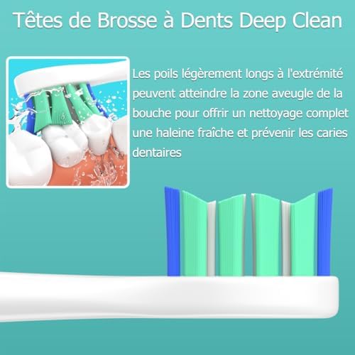 Vue 3 de Wardimark Tete De Brosse