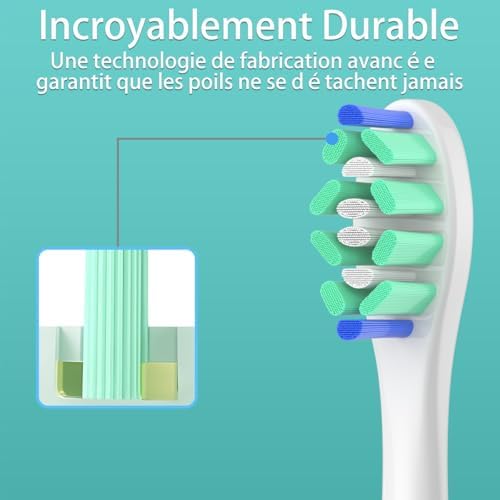 Vue 7 de Wardimark Tete De Brosse