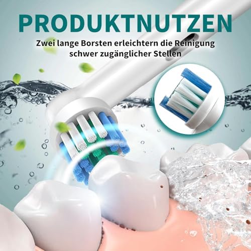Vue 3 de Tetes De Brosse Compatibles
