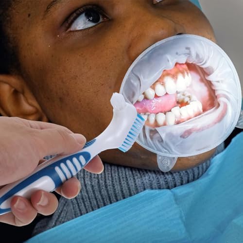 Vue 6 de Brosse Dents Dentier