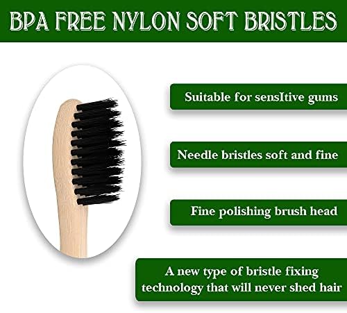 Vue 3 de Virgin Forest Lot De