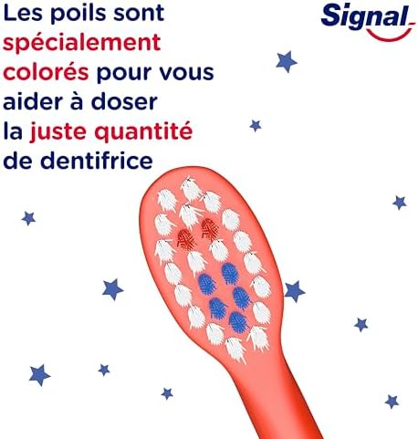 Vue 6 de Signal Brosse Dents