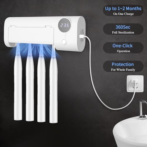 Vue 4 de Zaxiva Porte Brosse