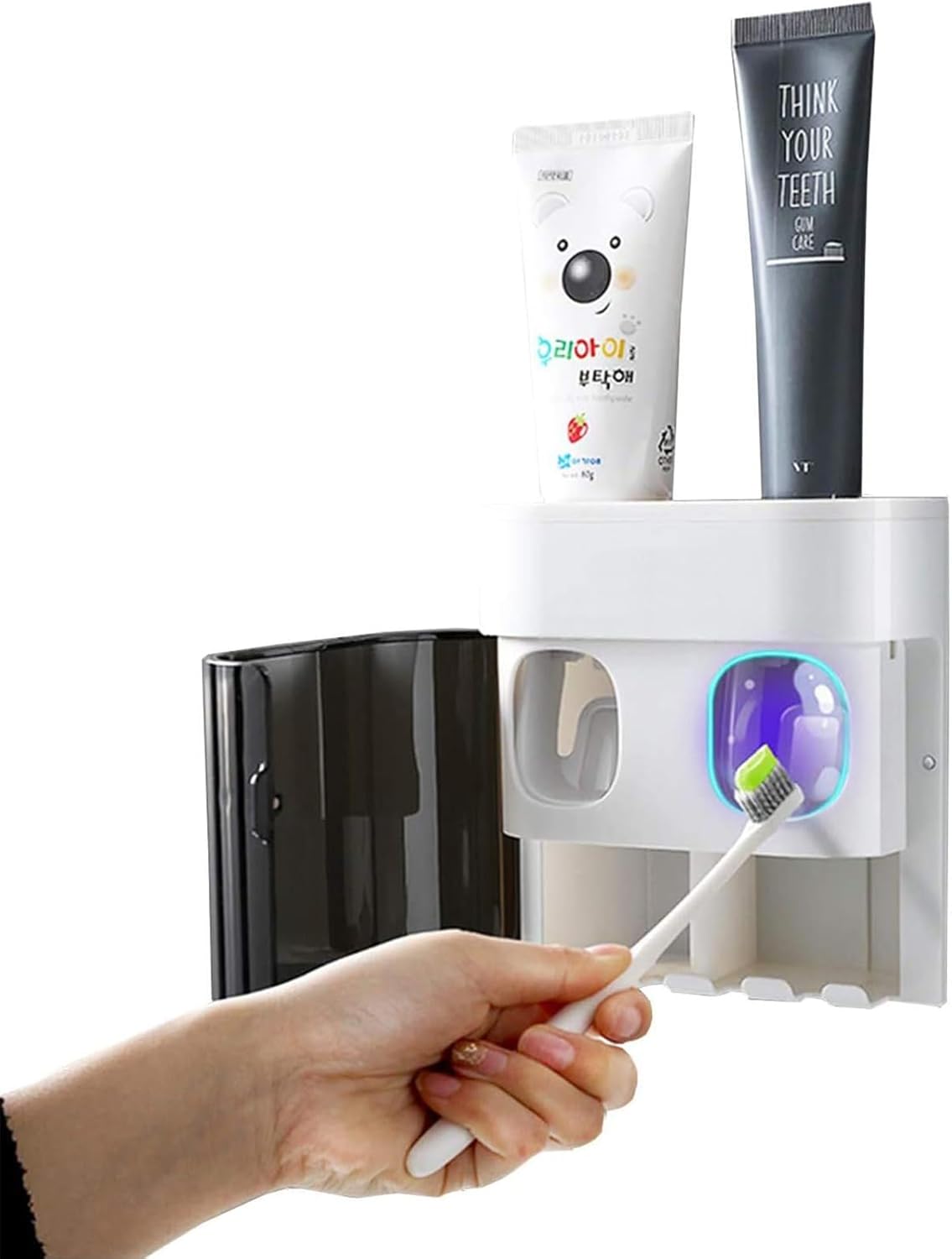 Zosenyer Porte Brosse