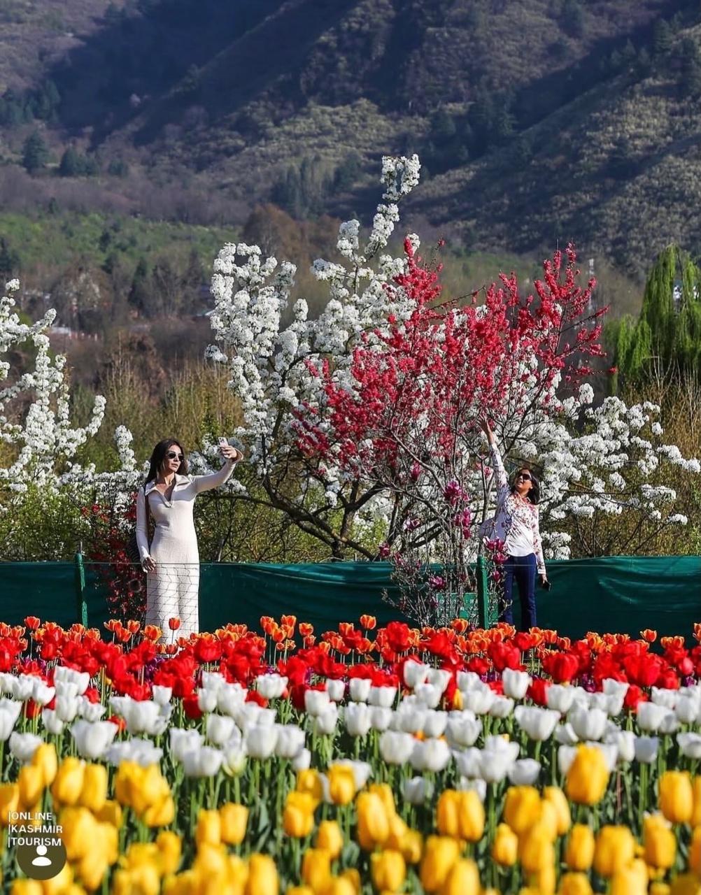 Kashmir landscape