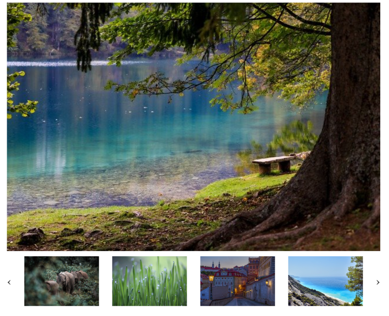 carousel project image