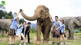 Chiang Mai: Thai Cooking Class & Ethical Elephant Sanctuary Day Trip