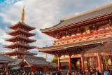 Tokyo Your Way: Private Walking Day with a Local Guide