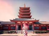 Tokyo Highlights in Half a Day with a Local Guide